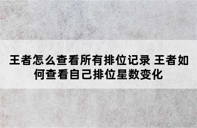 王者怎么查看所有排位记录 王者如何查看自己排位星数变化